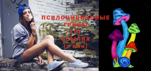 таблы Заводоуковск